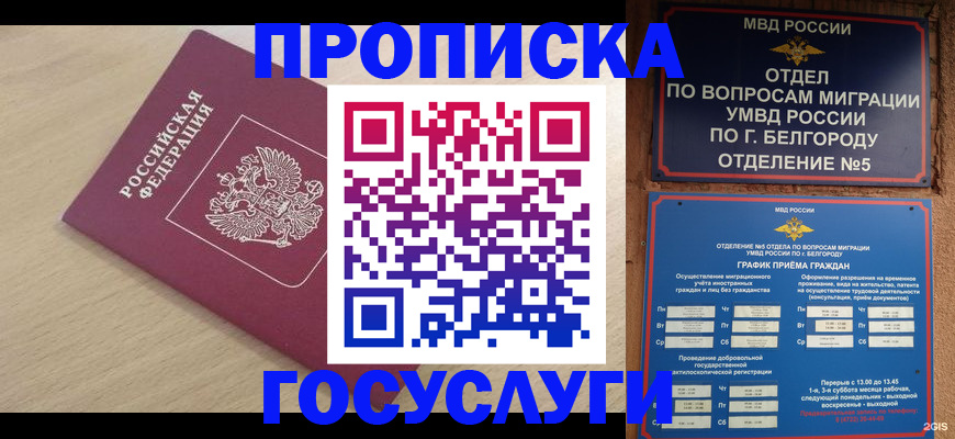 прописка законно в Ногинске